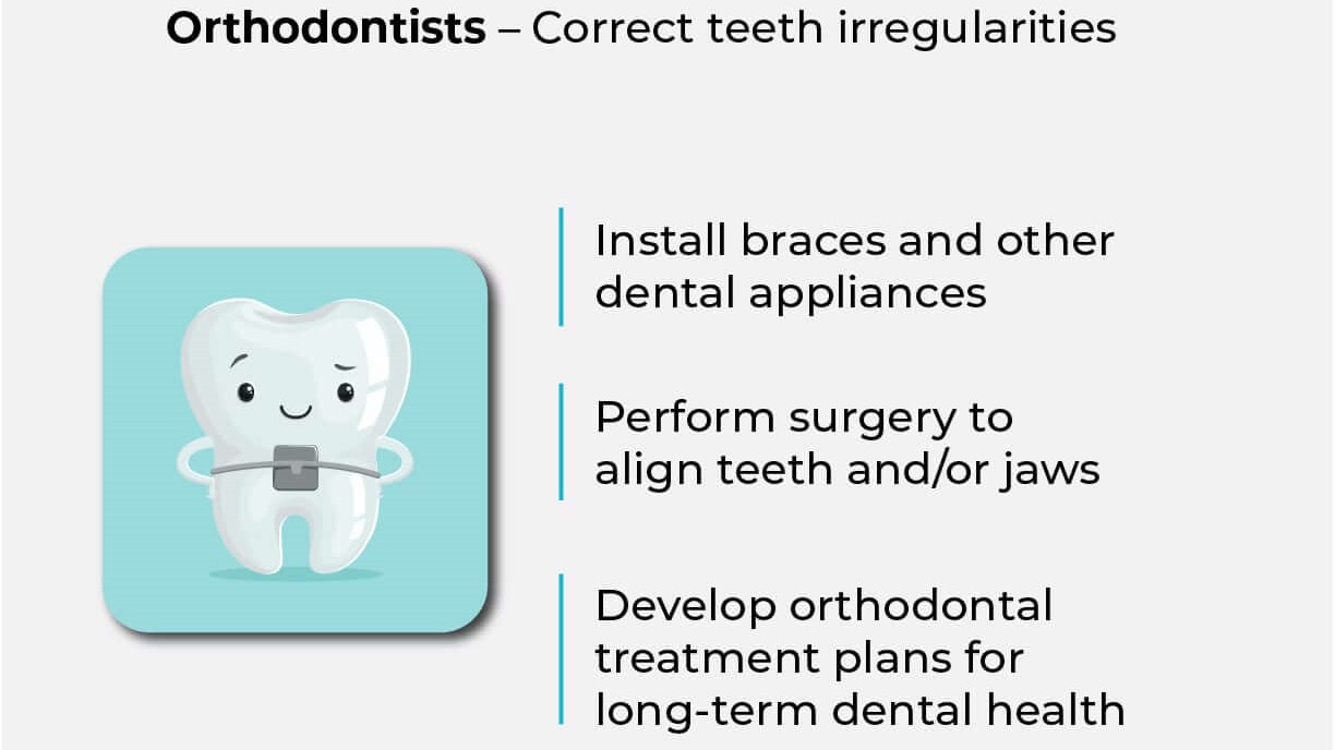 orthodontists vs dentists info